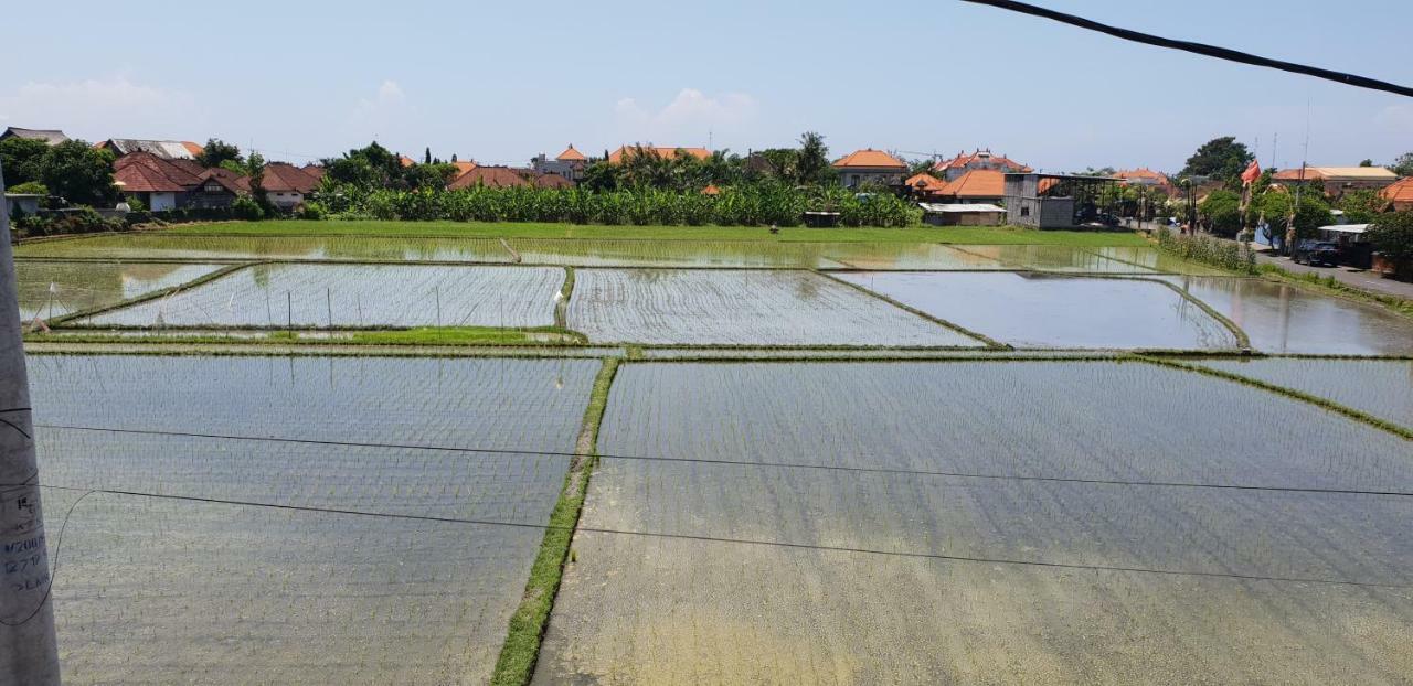 Sun Homestay Canggu Esterno foto